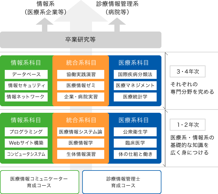 図：4年間の学びと卒業後の進路