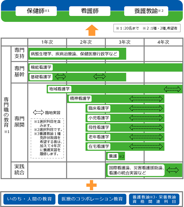 カリキュラム：看護学科