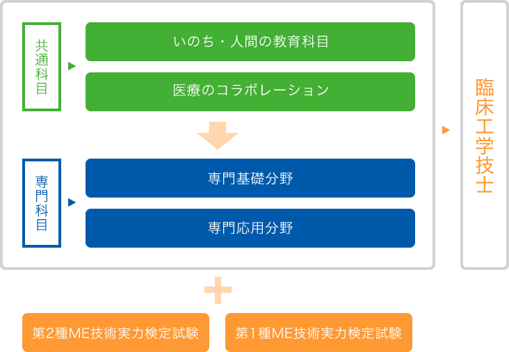 図：4年間の学びと卒業後の進路