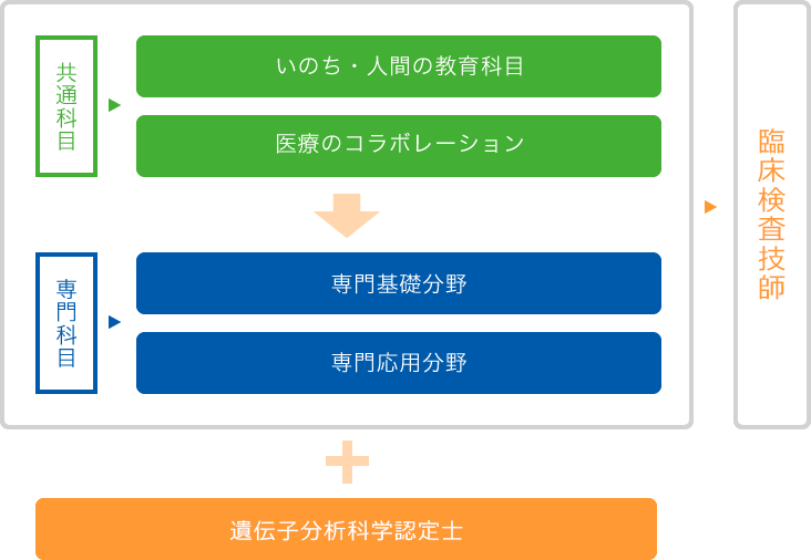 図：栄養学科カリキュラム