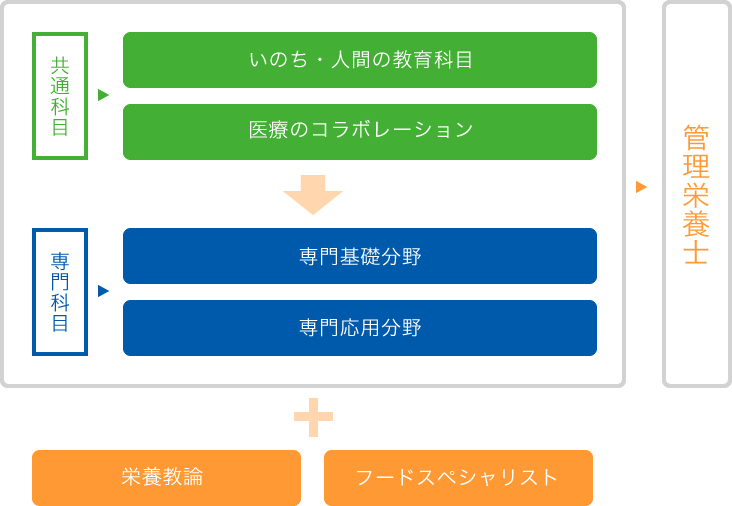 図:栄養学科カリキュラム