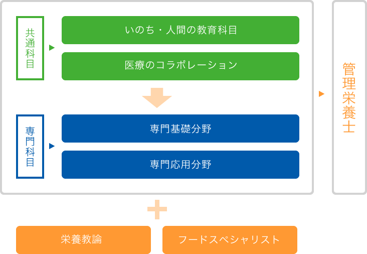 図：栄養学科カリキュラム